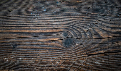 Brown texture of an old tree. Can be used as background 