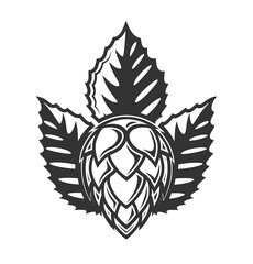 Obraz premium Hop isolated on white background