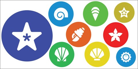 Modern Simple Set of seashell Vector filled Icons