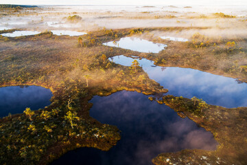 Soomaa National Park, Kuresoo bog. An aerial view of bog lakes in the morning sunrise with some fog in Estonian nature, Northern Europe. 