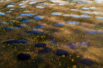 Soomaa National Park, Kuresoo bog. An aerial view of bog lakes in the morning sunrise with some fog in Estonian nature, Northern Europe. 