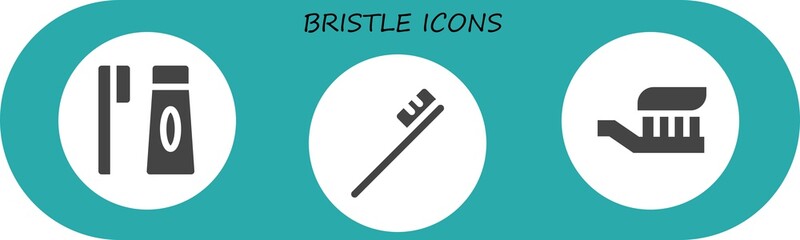 Modern Simple Set of bristle Vector filled Icons