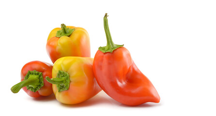 colored sweet pepper close-up on a white isolated background, space for text.horizontal view