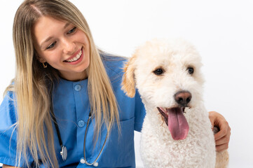 Young veterinarian woman with dog sitting on the floor
