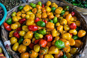 pimientos picantes, Lancetillo, La Parroquia, zona Reyna, Quiche, Guatemala, Central America