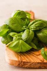 Green leafs of Genovese basil (Ocimum basilicum).Italian cuisine concept