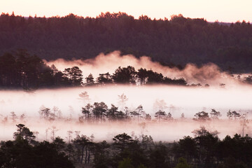 A beautiful and mystical foggy morning during summertime in Estonian nature, Northern Europe. 