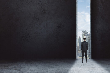 Obraz premium Back view of businessman stands in doorway and looking on city