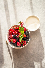 Bowl of fresh berries with Labneh middle eastern lebanese cream cheese on grey background. Natural hard light