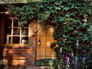 Fototapeta na wymiar old house with window and flowers