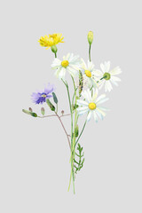 Small bouquet of chamomile, yellow and blue wild flowers .For congratulations, invitations, anniversaries, weddings, birthday