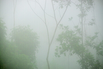 bosque humedo, Zona Reina, Quiché, República de Guatemala, América Central