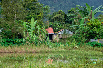 casa en el pantanal, Lancetillo - La Parroquia, Franja Transversal del Norte , departamento de ...