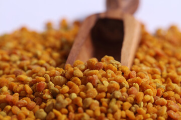 Propolis Bienen Blütenpollen