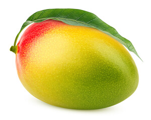 mango isolated on white background, clipping path, full depth of field
