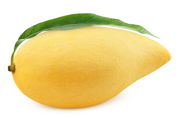 yellow mango isolated on white background, clipping path, full depth of field