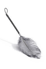 Detailed shot of a whip with gray ostrich feather on the end. The tool for erotic games is isolated on the white background. 