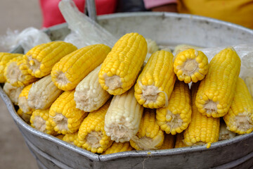 mazorcas de maiz hervidas, San Gaspar Chajul, departamento del Quiché , Triángulo Ixil, Guatemala, America Central