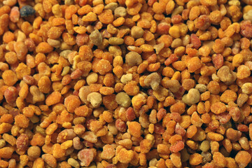 Propolis Bienen Blütenpollen