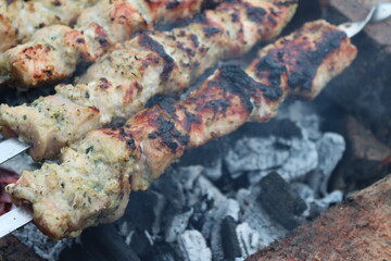 grilled meat on the grill