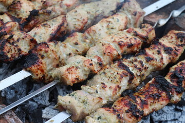 shish kebab on the grill