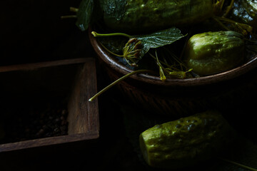 appetizing lightly salted cucumbers