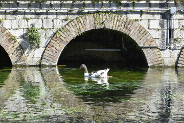 Fototapeta premium View of the small lake in the public park of Venafro, a medieval village in the Molise region. 