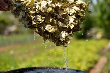 oak broom for a bath with dripping water drops