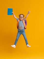 Kid with backpack on color background.