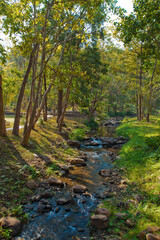 Stream in the forest in Pai, Thailand