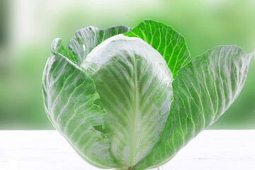 Green whole cabbage isolated on white background - Image