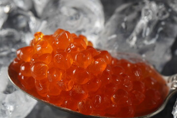 Red Caviar in bowl on ice background. Close-up salmon caviar. Delicatessen