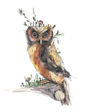 Owl. Big-eyed bird of prey. Owl or eagle bird. Owl sits on a branch. Beautiful bird of prey. Watercolor illustration on white background. Owl on a branch.