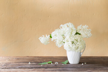 white hydrangea in jug on background wall