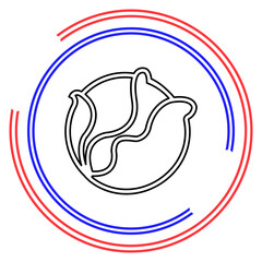 vector cabbage or lettuce illustration isolated