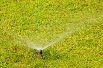 Garden automatic Irrigation system spray watering lawn,close up.