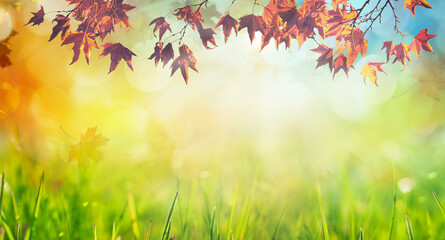 Obraz na płótnie Canvas an autumn natural background