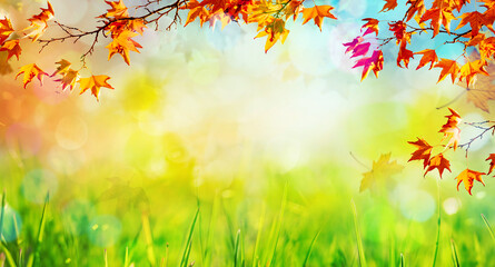 Obraz na płótnie Canvas an autumn natural background
