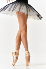 Ballerina in tutu and pointe shoes cropped view 