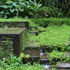 Man-made Spring with Moss and Tropical Plants, Bali, Indonesia