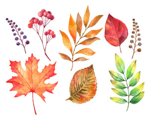 Naklejka premium Watercolor autumn leaves foliage