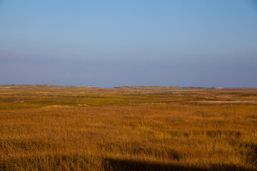 Sankt Peter Ording