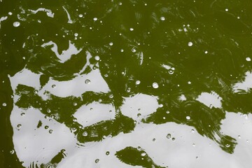 A close view of the ripples in the water surface.