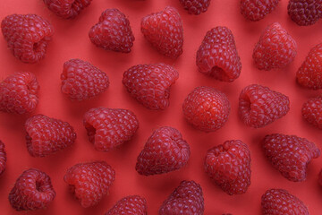 Fresh ripe raspberry fruit background. Top view