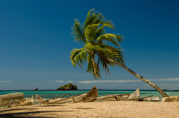 Pirogues et cocotier sur la plage de la baie d'Andilana, Nosy Be - Madagascar