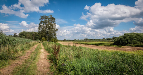 Panoramic view of Belgian landscape with natural road through the beautiful Nete Valley with nature conservation and walking route through Viersels Gebroekt in Viersel.