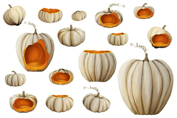 White ripe pumpkins big set. Bright autumn clip art on white background