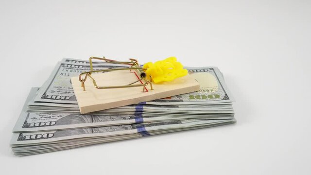Mousetrap on a pack of dollars. Deception, fraud, bad loan and easy money concept. White studio background, blank mockup, place for text. Money is like bait.