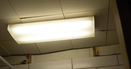 A dolly shot of a creepy basement fluorescent ceiling light flickering on then off. With buzzing audio.	 - Powered by Adobe