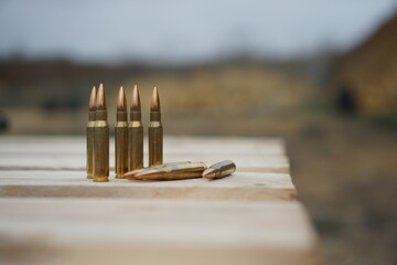 The cartridges lie on a wooden pallet